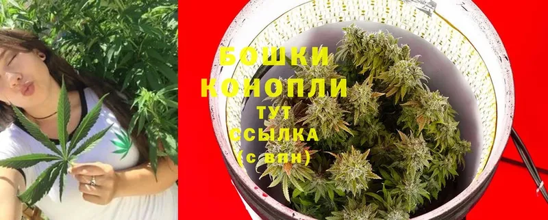 МАРИХУАНА SATIVA & INDICA  продажа наркотиков  Алексин 